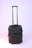 Leather travel trolley